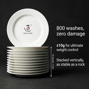 10 Inch Premium Fine Dining Hotel Banquet Ceramic White Porcelain Flat Dinner Plates