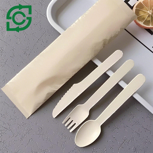 Custom Logo Disposable Dinnerware Set Hotel & Catering Wholesale